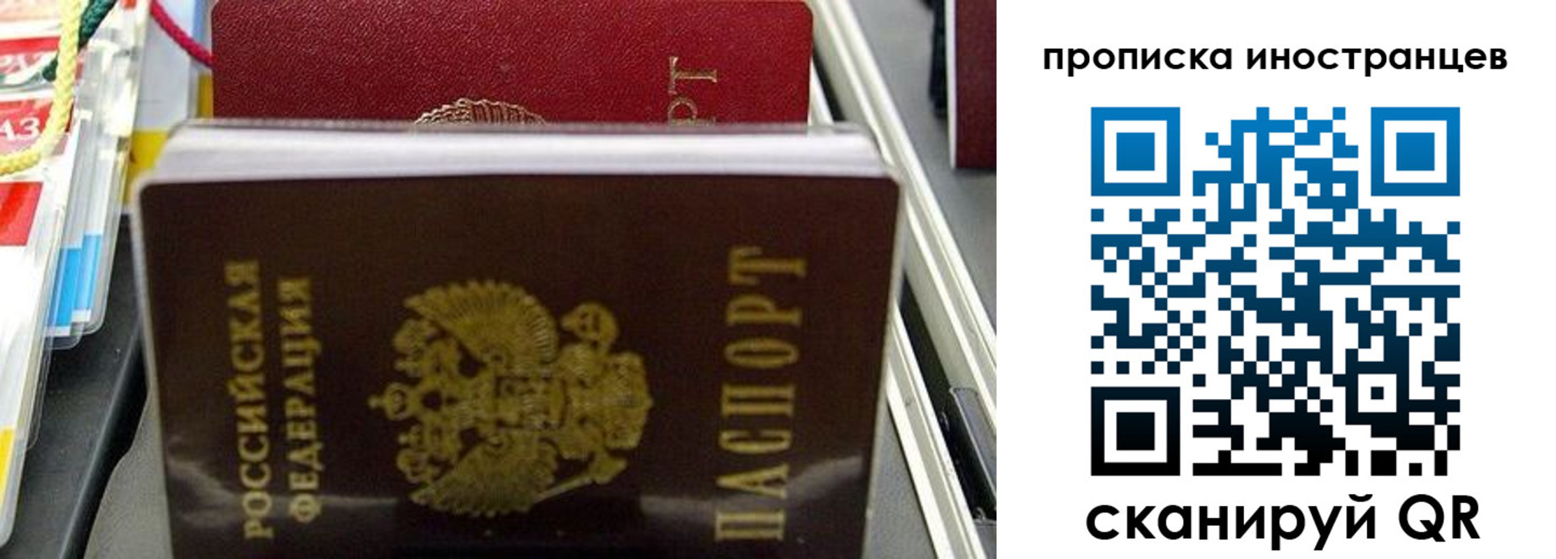 прописка для школы в Кировграде